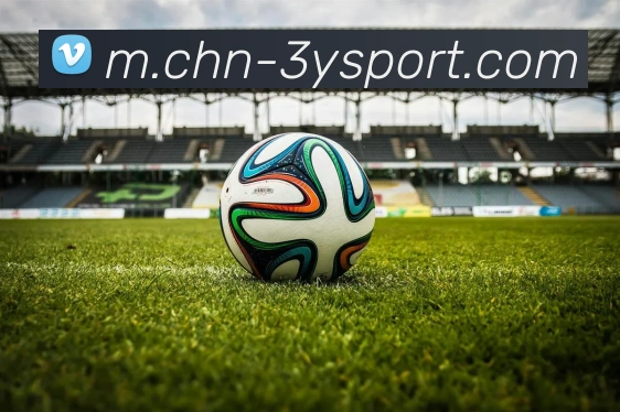 奖项2
