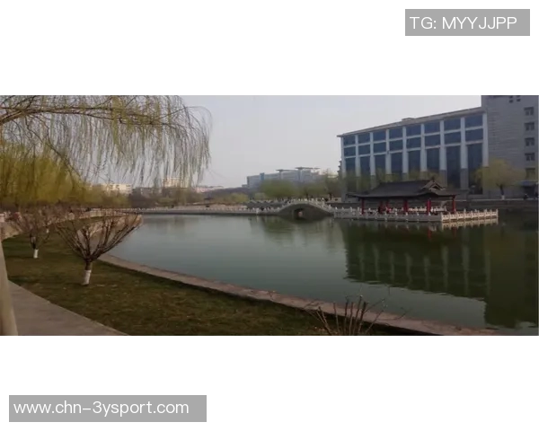 近15场球员得分表现分析KD库里小卡高效东契奇高产却低效